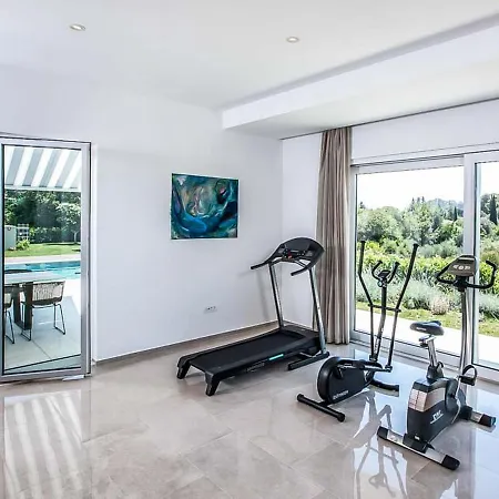 Extensive Light-filled Modern Living Areas *